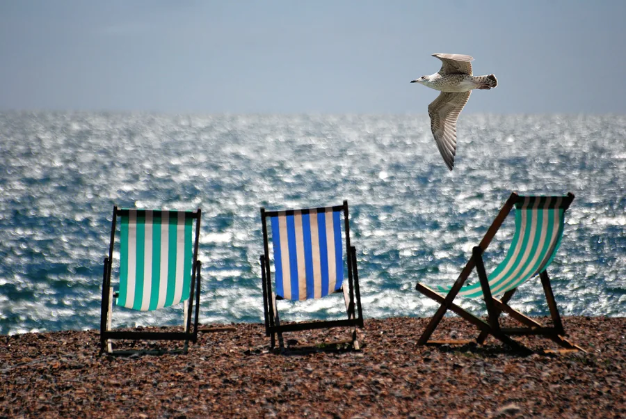 Striped Deckchairs and a Gull by the Sea