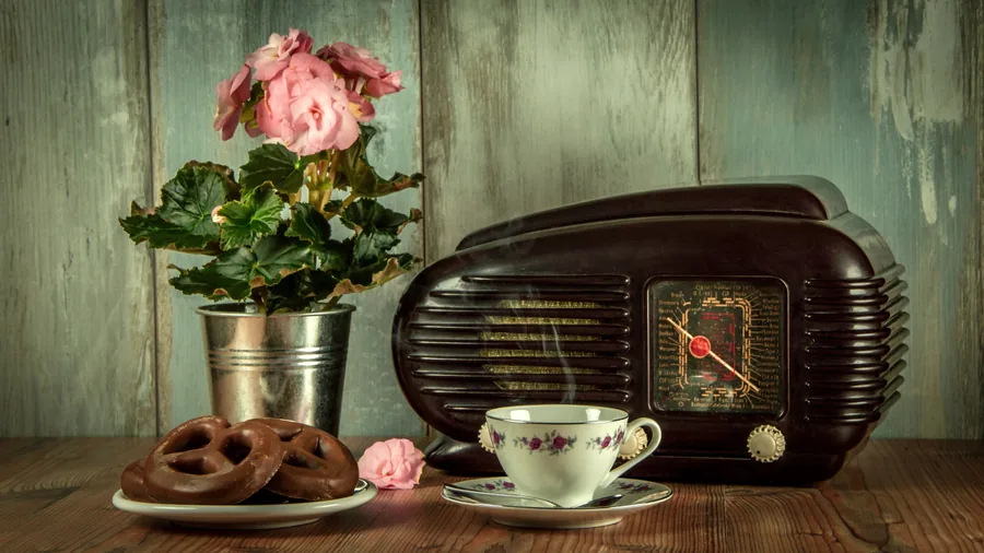 Radio, Teacup and Begonias