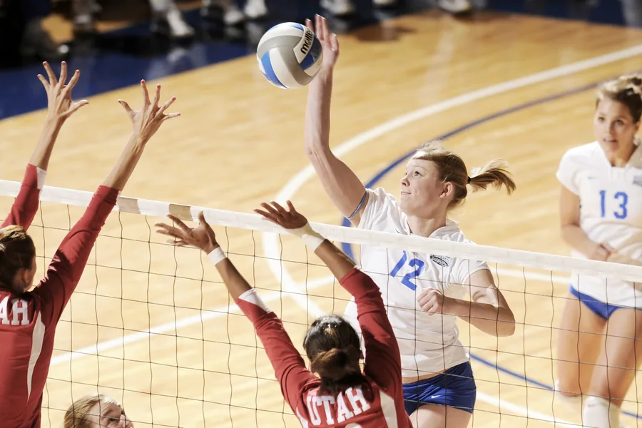 A Volleyball Spike at the Net