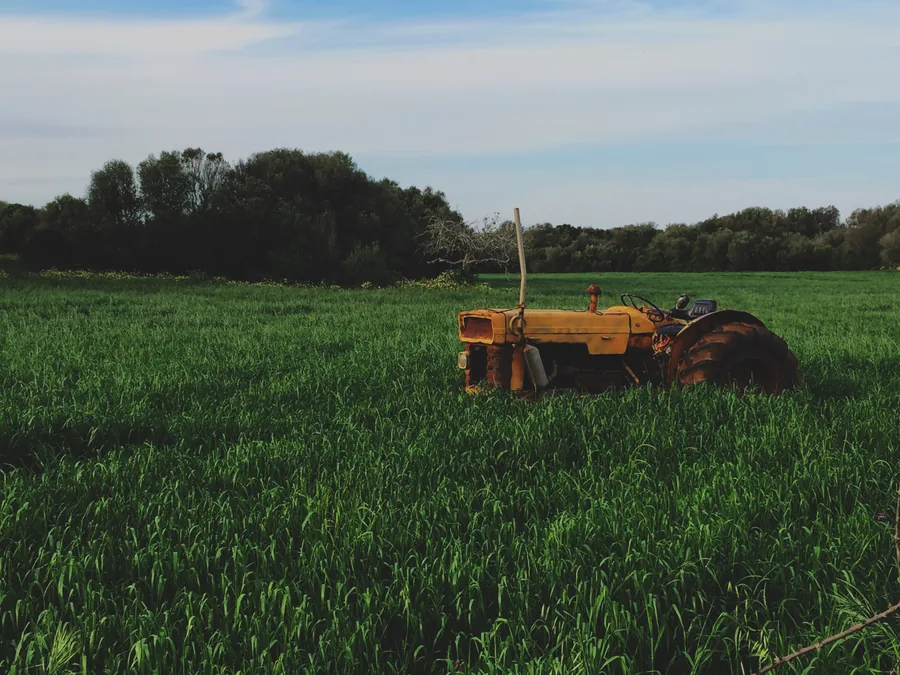 An Old Yellow Tractor in a Green Field
