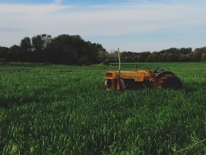 An Old Yellow Tractor in a Green Field