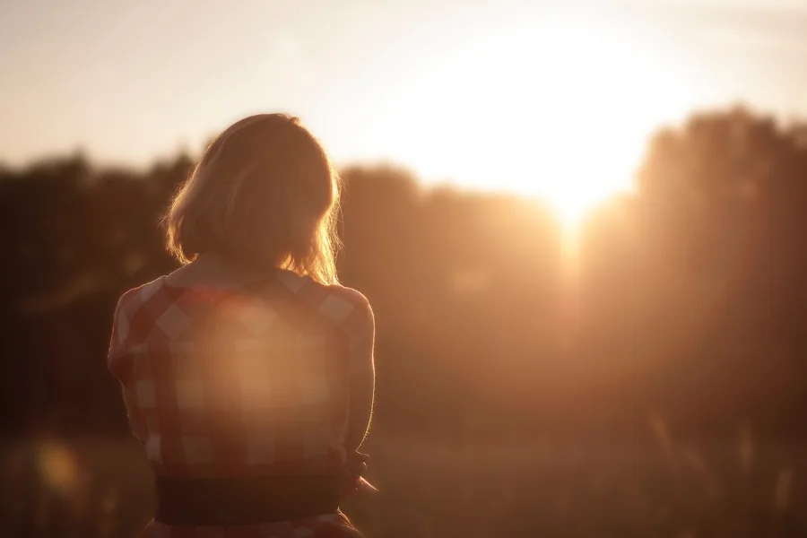 Der Abendsonne zugewandt