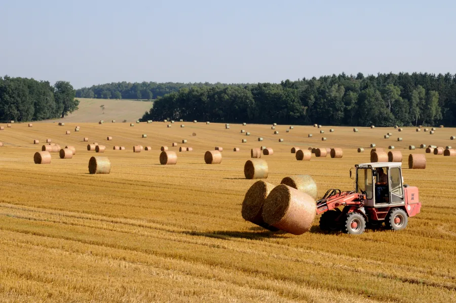 A Loader Carrying Straw Bales Across a Field