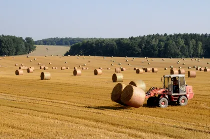 A Loader Carrying Straw Bales Across a Field