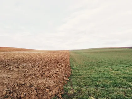 Ploughed Earth Meets Green Field