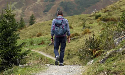 Walker on a Hillside Path