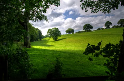 Green Pasture Under Piled Clouds