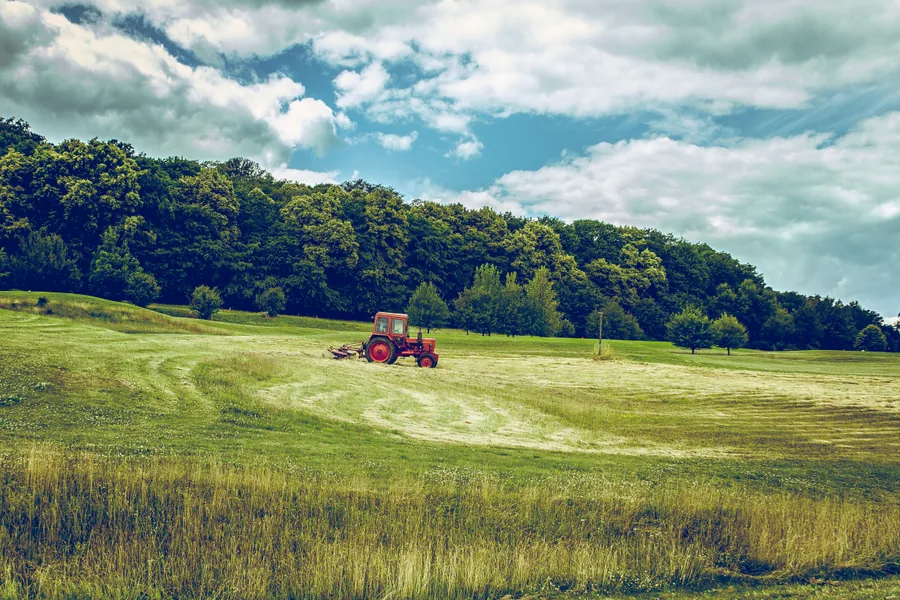 A Red Tractor in a Mown Field