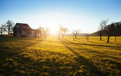 Low Sun Behind a Field Barn