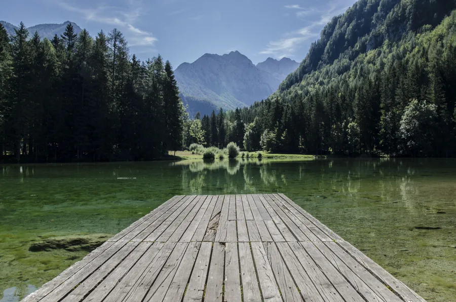 Pontile su un lago verde
