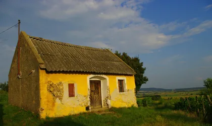 Žlutá chaloupka na kopci