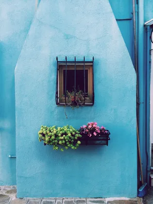 Window and Flower Box on a Blue Wall