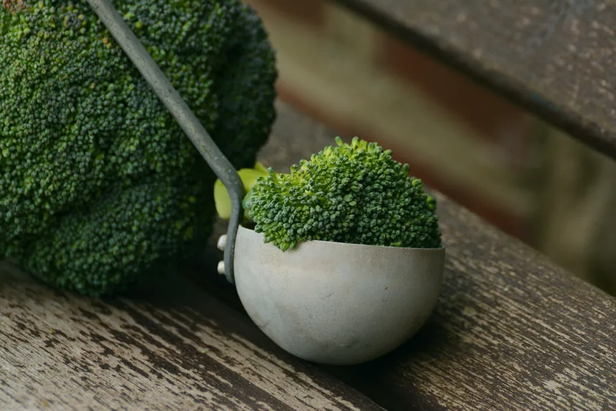 Broccoli Floret in a Metal Scoop
