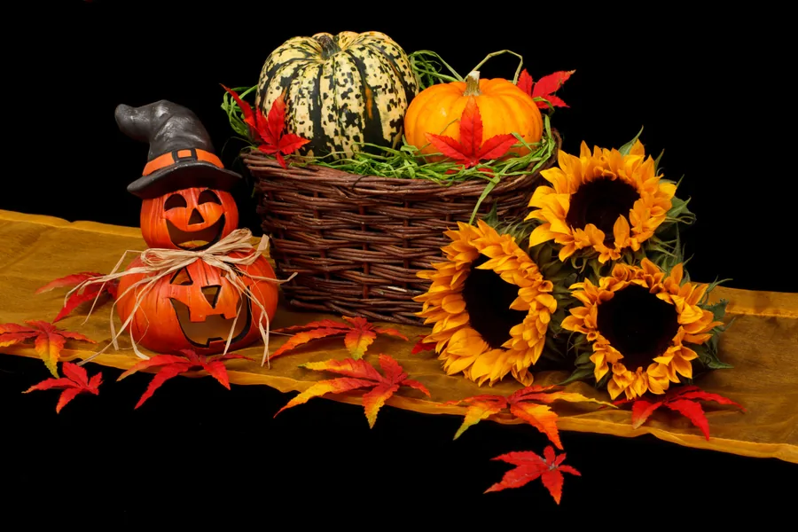 Jack-o'-Lanterns, Squash and Sunflowers