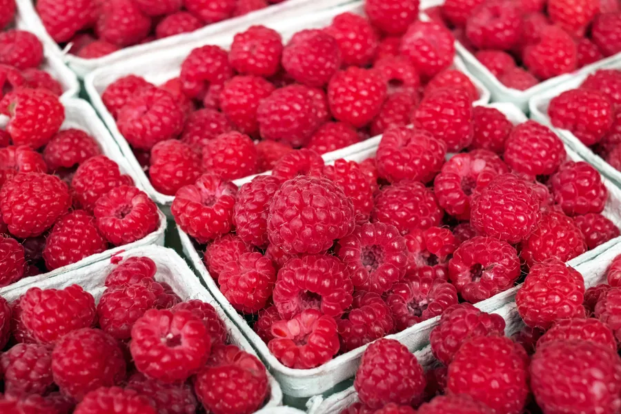 Frambuesas amontonadas en canastillas