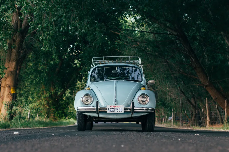 A Pale Blue Beetle on a Tree-Lined Road