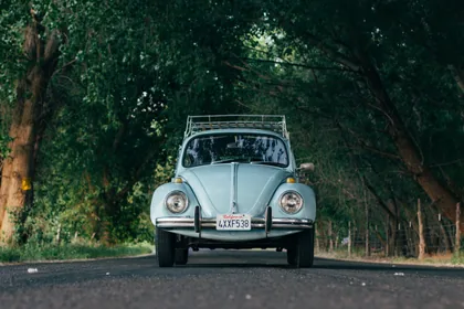 A Pale Blue Beetle on a Tree-Lined Road