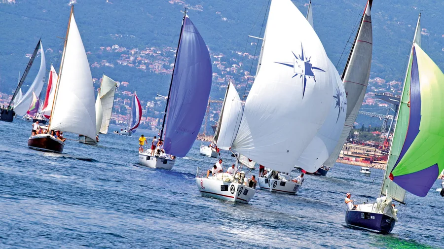 Yachten bei einer Regatta