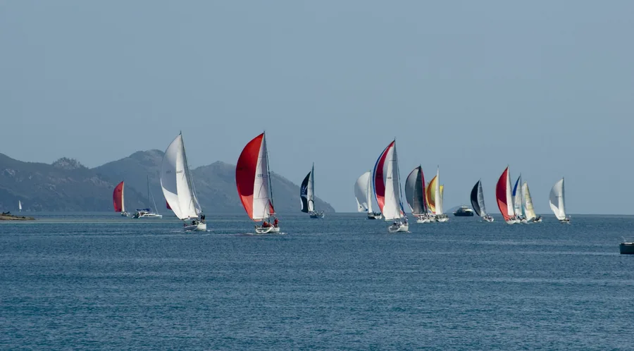 Spinnakers compitiendo ante colinas verdes