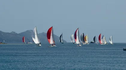 Spinnakers Racing Past Green Hills