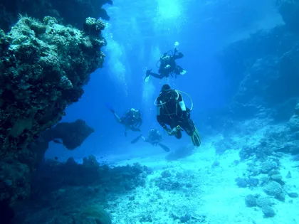 Scuba Divers Beside a Coral Wall