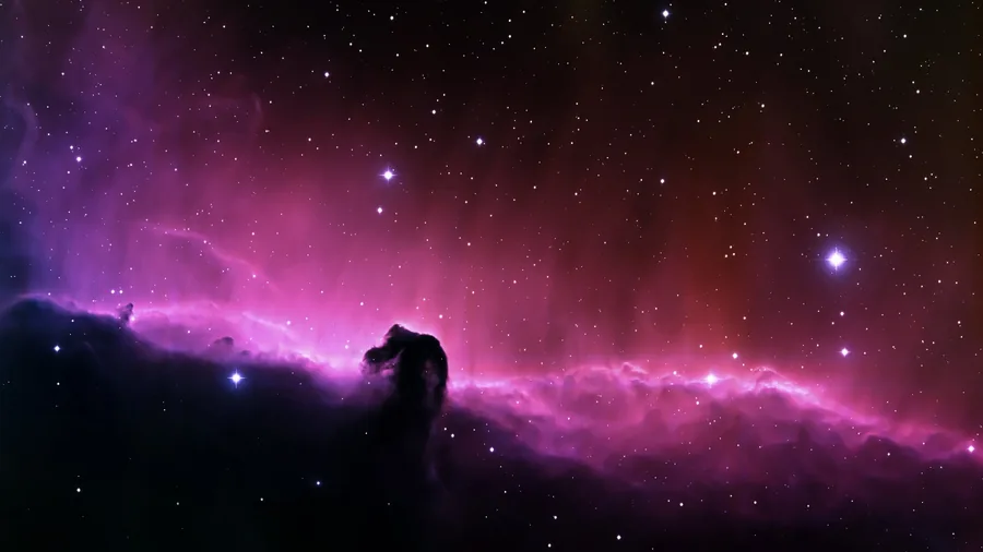 Dark Nebula Among Pink Stars