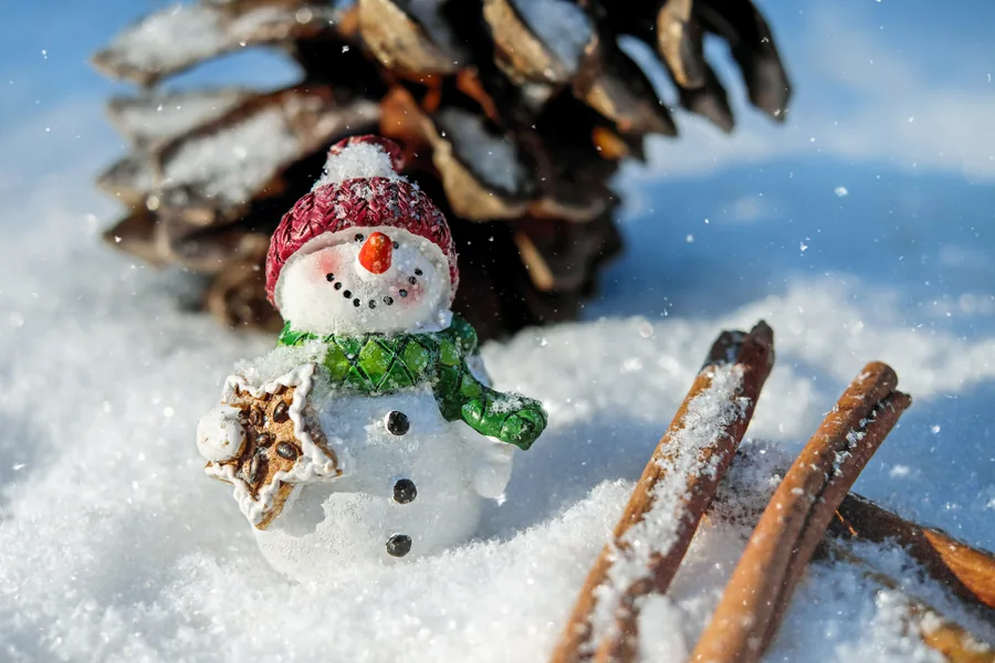 Snowman Figure with Cinnamon and Pine Cone
