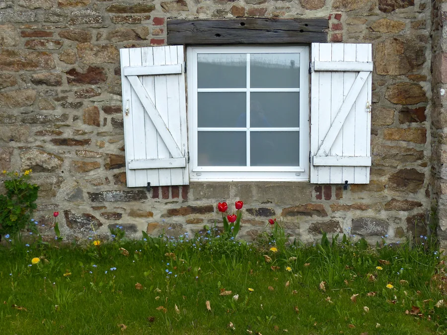 Contraventanas blancas y tulipanes en un muro de piedra